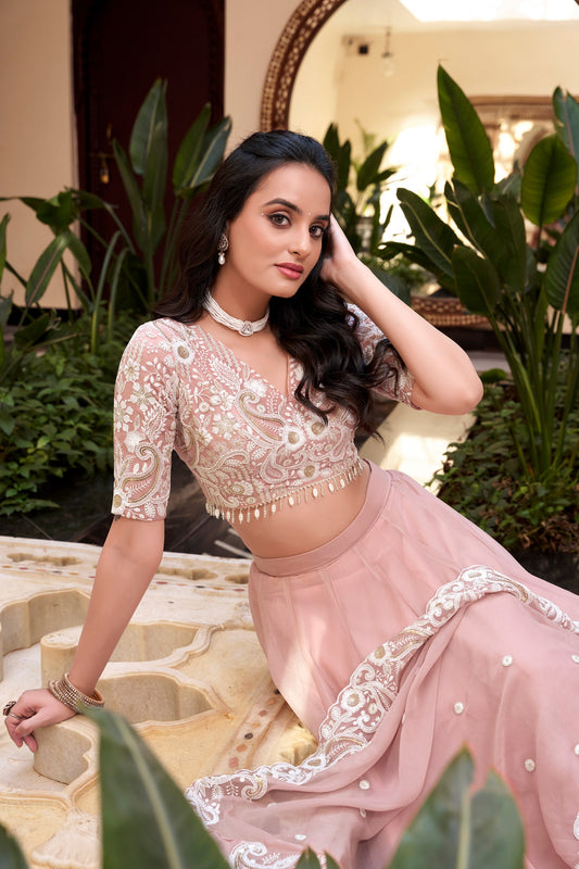 Peach Hued Lehenga Choli Set