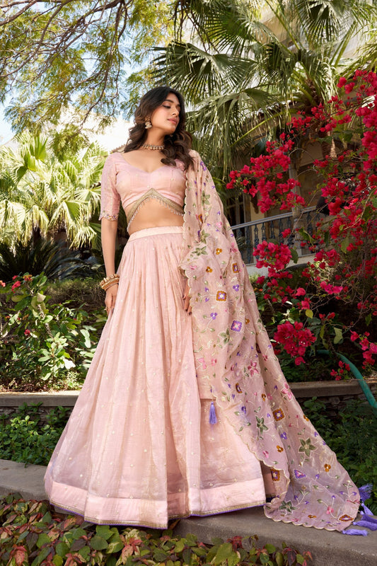 Light Pink Radiant Rose Gold Crush Lehenga Set – Elegance in Every Stitch