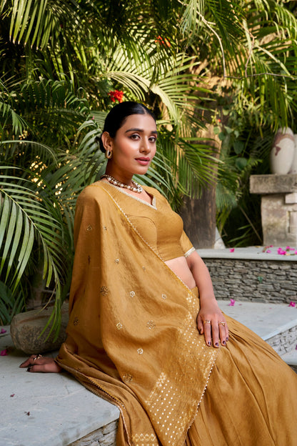 Pure Chanderi Plain With Zari Weaving Work Lehenga Choli