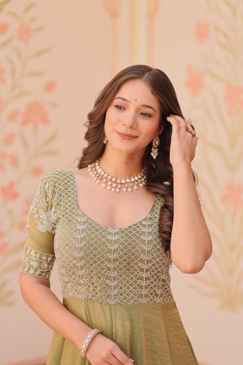 Pista & Skyblue Fendy With Beads Embroidered Work Gown