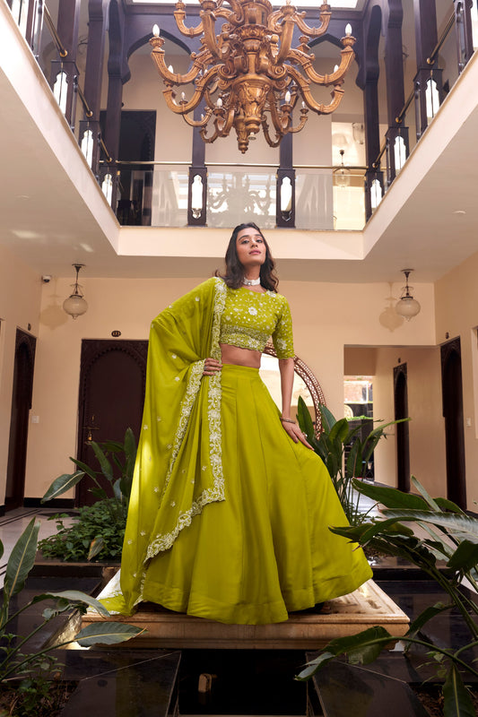 Green Colored Lehenga Choli Set