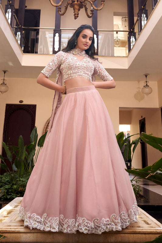 Peach Hued Lehenga Choli Set